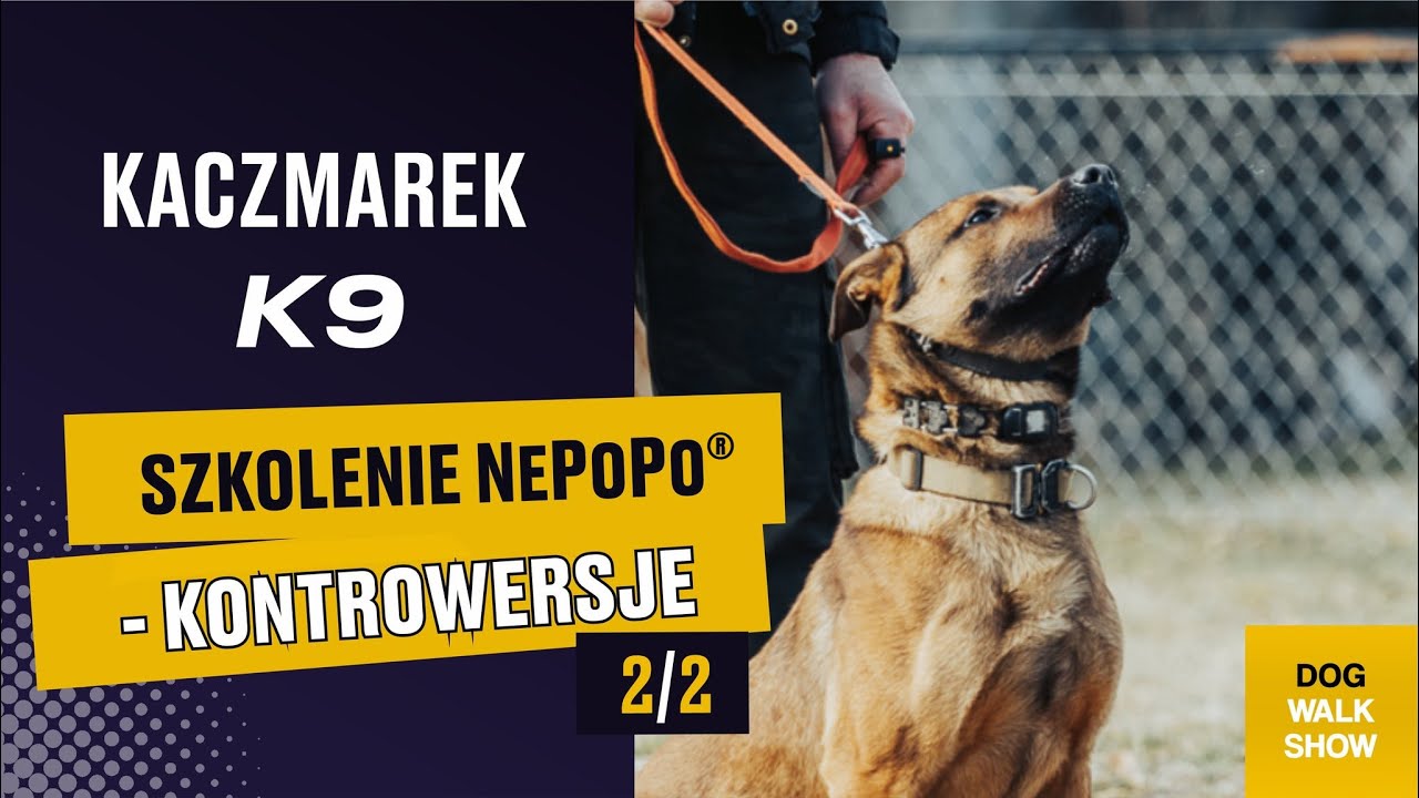 KACZMAREK K9 Kontrowersje w NePoPo® nagradzanie i karanie psa Dog