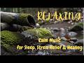 Relaxing Forest Water Sounds 🌿 Calm Music for Sleep, Stress Relief & Healing