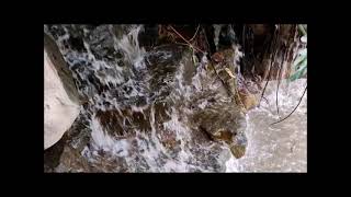 Sound of water flow, 流水聲潺潺#nature #foryou #asmr #relaxing #water