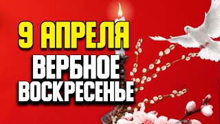 9 апреля Вербное Воскресенье. Православный праздник. Народные традиции и приметы