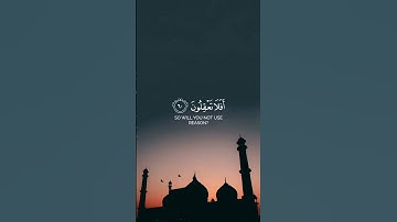 قرآن شاشة سوداء | القارئ هيثم الدخين سورة القصص #كرومات_قرآن #اكسبلور #المصحف