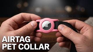 This Durable Silicone AirTag Case Might Be the Best Pet Tracker Investment