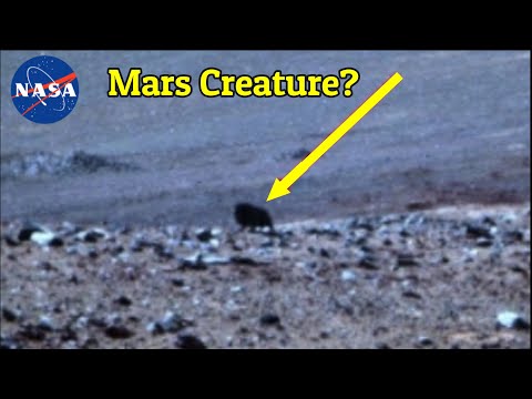NASA's Opportunity Rover Captured Four Legged Mysterious Dark Creature On Mars - YouTube
