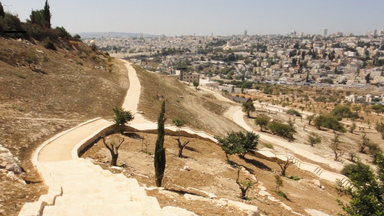 April 19, 2026 – Third Sunday of Easter