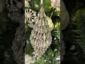 Raz 12" Large Jewel Finial Christmas Ornament 4613627