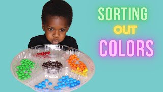 Toddler Sorting Out Colors