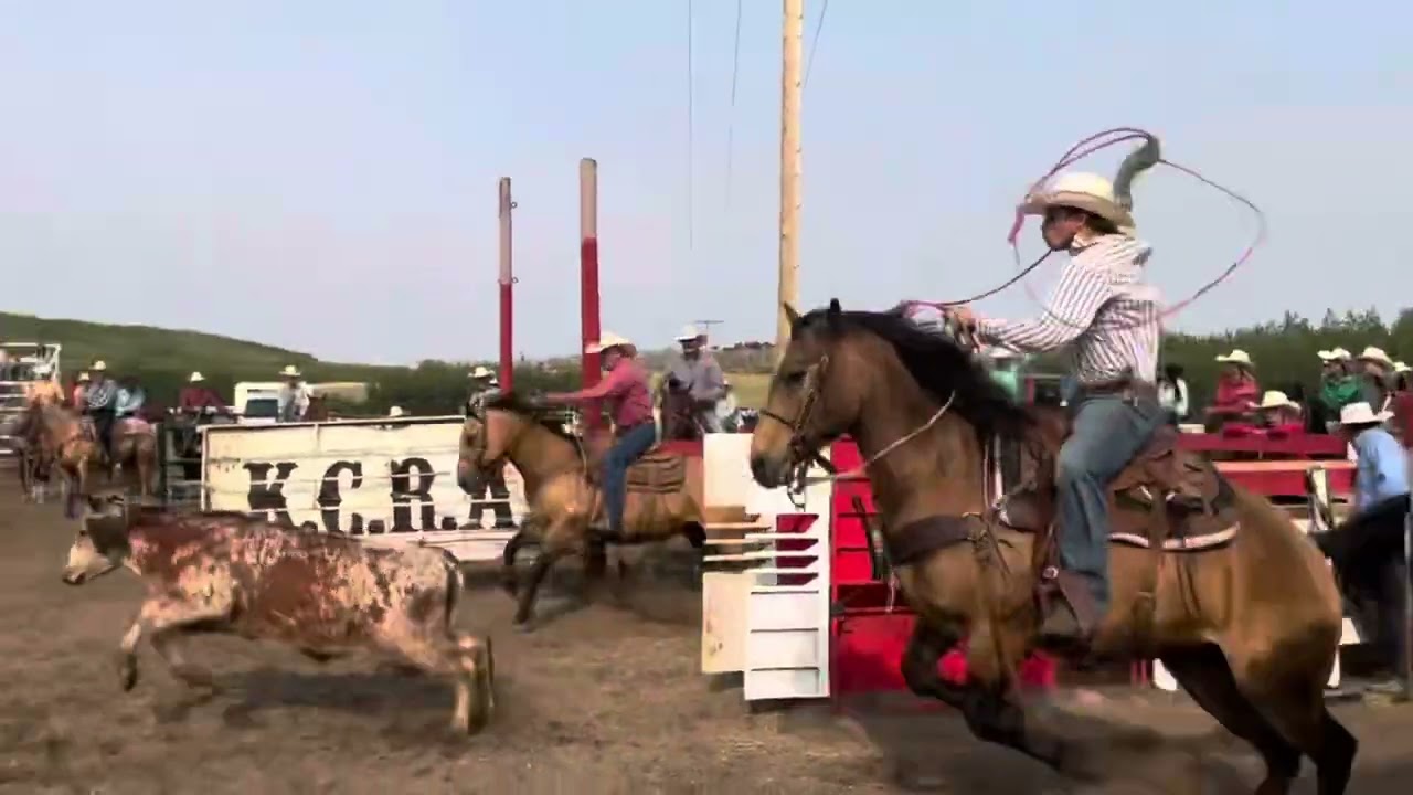 2020 Buckskin gelding - Frosted Sam Sioux consigned to the 2025 Pitchfork Ranch Horse Sale