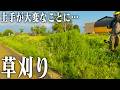 【激変】ボーボーに伸びすぎた土手の雑草をスッキリさせる!【ビフォーアフター】