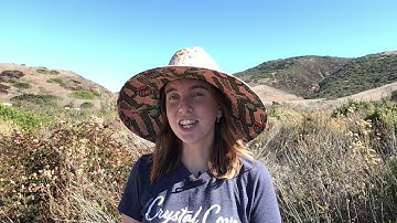 Module 3 Launch Video 1