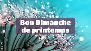 Bon Dimanche De Printemps - Carte Virtuelle Chantée