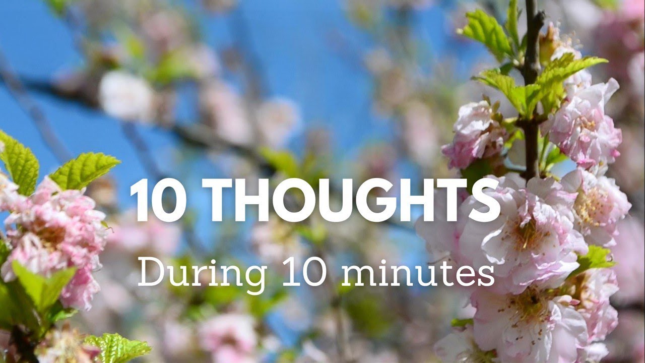 [Playlist] 10 случайных мыслей на протяжении 10 минут | красота обычной жизни (Рус Суб)