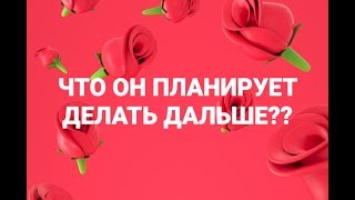 ТАРО ПРОГНОЗ: ЧТО ОН ПЛАНИРУЕТ ДЕЛАТЬ ДАЛЬШЕ? ТАРО ПРОГНОЗ