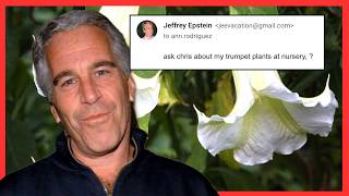 Was 𝙀𝙥𝙨𝙩𝙚𝙞𝙣 Producing ‘World’s Scariest 𝘿𝙧𝙪𝙜’?