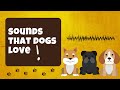 The Sounds That Make Dogs Wag Their Tails: Discovering the Noises Your Pup Loves