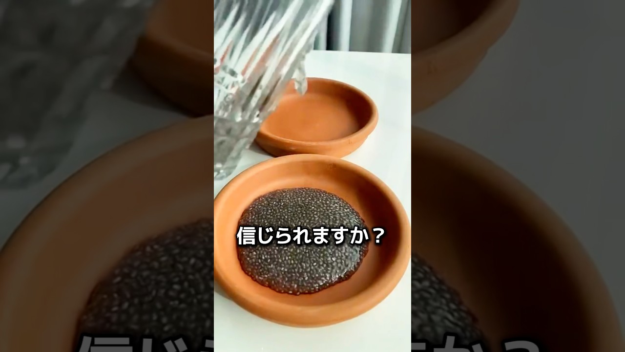 YouTube에서 水だけで1週間で野菜を育てる方法 보기 YouTube에서 水だけで1週間で野菜を育てる方法 보기