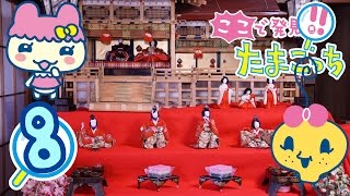 ここで発見!!たまごっち #08 【たまごっちTV】 - YouTube