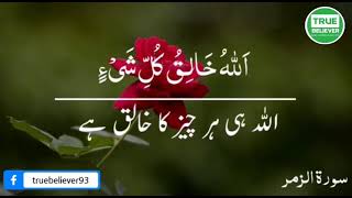 Allah Hi Har Cheez Ka Khaliq Hai ❤️| Quran Tilawat | Quran Whatsapp Status 2021 | Quran Recitation screenshot 1