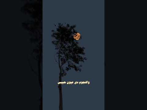 دا القمر هو حبيبي صباح