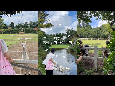 친구 덕분에 제주 여행(?) 하기 ♡ | LLLF | 제주이노메싸 | 제주순댓국 | 트웰브커피바 | 카페말로 | 프릳츠 | 성산빵투어 | 소금바치순이네