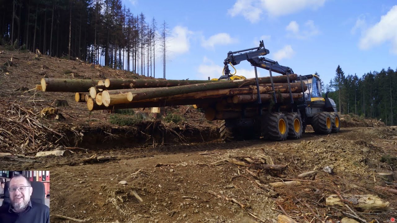 Ecological effects of clearcutting