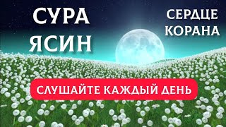 🎧 Сура Ясин сердце Корана 7 раз, успокаивает душу, слушайте утром и вечером! #quran #yasin #ясин