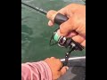 The Offshore Spotted Bass Bite: 7'2" ML Fenwick World Class #fenwickfishing #bassfishing