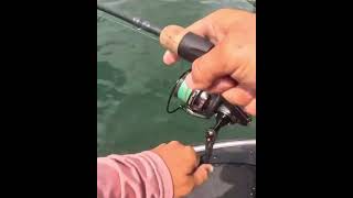 The Offshore Spotted Bass Bite: 7'2" ML Fenwick World Class #fenwickfishing #bassfishing