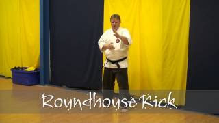 Warrior's Way Karate:  Beginner Module 2