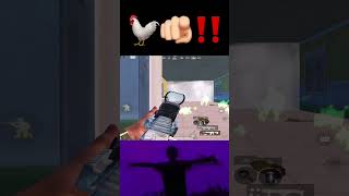 Download Lagu kiyahie chaken nikhala hia🐓 MP3