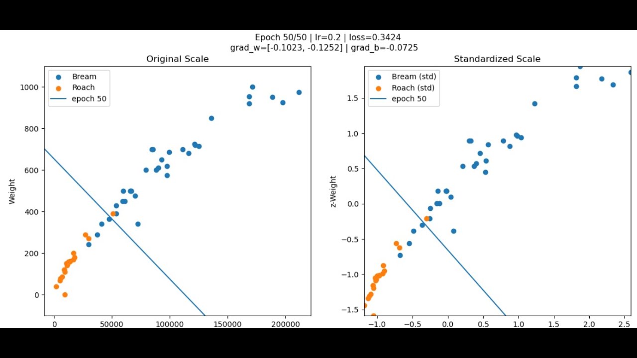 Linear Classifiers and Gradient Descent
