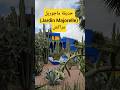 حديقة ماجوريل (Jardin Majorelle) واحة فنية ونباتية ساحرة صممها الرسام الفرنسي جاك ماجوريل 1924.