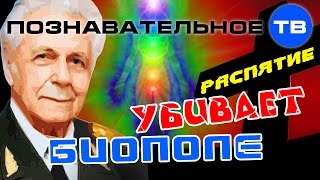 Крестик убивает ваше биополе (Познавательное ТВ, Иван Неумывакин) Крестик убивает ваше биополе (Познавательное ТВ, Иван Неумывакин)