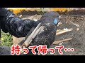 マジか😱これを見たら絶対に持って帰りたくなります😊