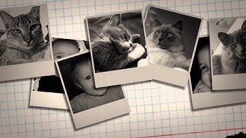 Demo example of new service from Video Expression S I F T F U