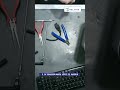 Votre MacBook : écran noir ? Voici la solution 🔧