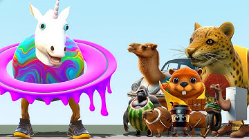 NEW EVOLUTION OF Il MAGIC UNICORNANUS BRAINROT MEMES In Garry