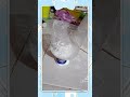 tutorial de squishy gratis con solo tres ingredientes