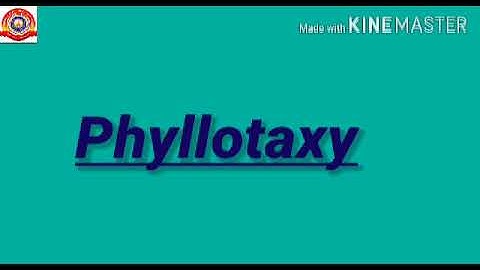 KRSMA#Standard 5 Basic Science Part 3 Chapter 1 Know The Plant World Closely