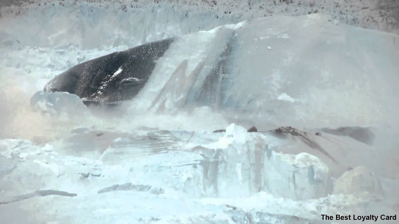 CHASING ICE Captures Largest Glacier Calving Ever Filmed OFFICIAL chasing-ice-captures-largest-glacier-calving-ever-filmed-official