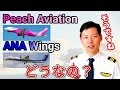 パイロットが語る | ピーチ、ＡＮＡウイングスのイメージとは？【MichaelAir/切り抜き】