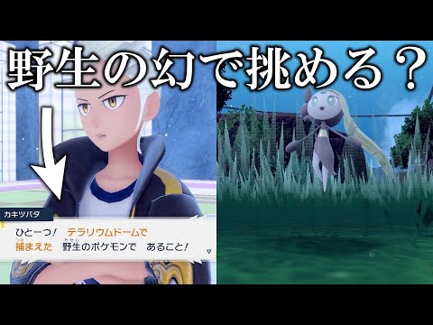 【検証】野生限定の四天王チャレンジに幻「メロエッタ」でも挑めるのか？【ポケモンSV/藍の円盤/ゼロの秘宝】