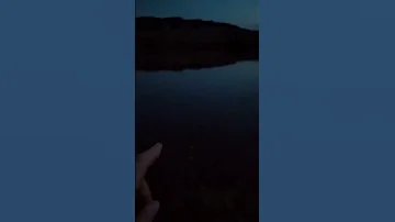 Для чего нужен светлячок на ночной рыбалке