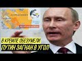 Путинские войны, или Империя наносит ответный удар