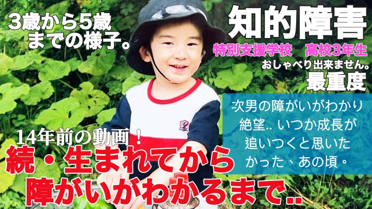 Intellectual disability, most severe] Continued: From birth to