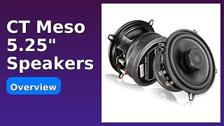 REVIEW (2026): CT Meso 5.25' Speakers. Features.