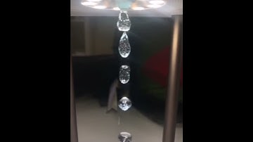 The light with certain frequencies give the illusion that water is flowing upwards.