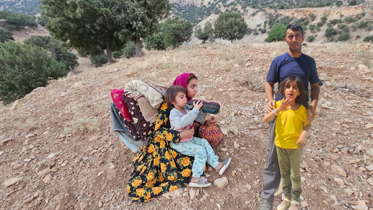 The Nomadic Life: Collecting Firewood for Winter | Uncle Helps Homeless ...