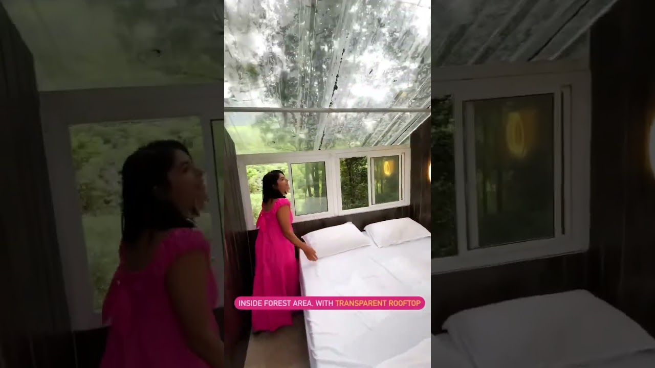 Can’t miss this stay in India 😯Transparent Tree house in Kerala | India’s bucket list destination