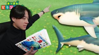 本物の図鑑で行くあつもり‼ ＃16【あつまれ どうぶつの森】