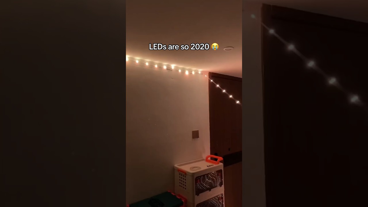 The new LADs 😍 (link in bio) 